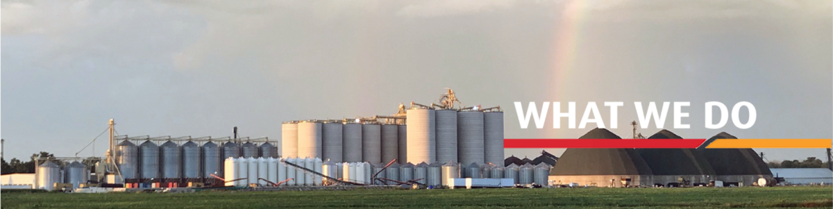 What We Do banner